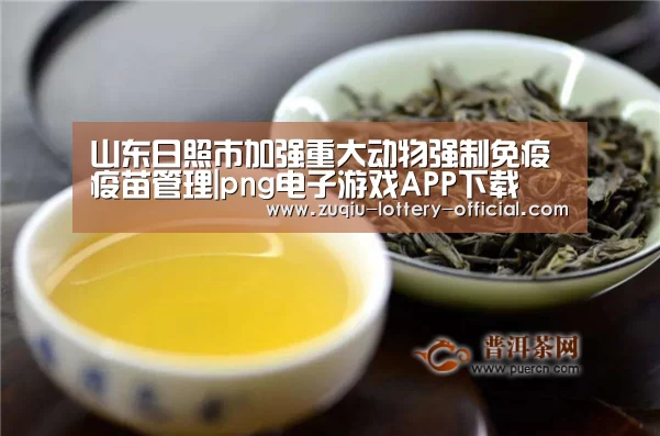 png电子游戏游戏平台