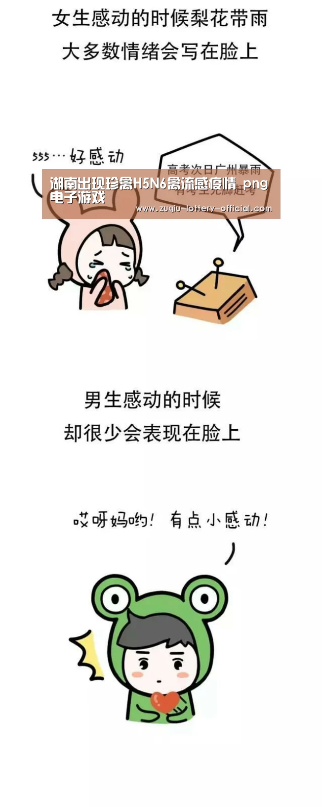 湖南出现珍禽H5N6禽流感疫情_png电子游戏(图1) png电子游戏APP下载