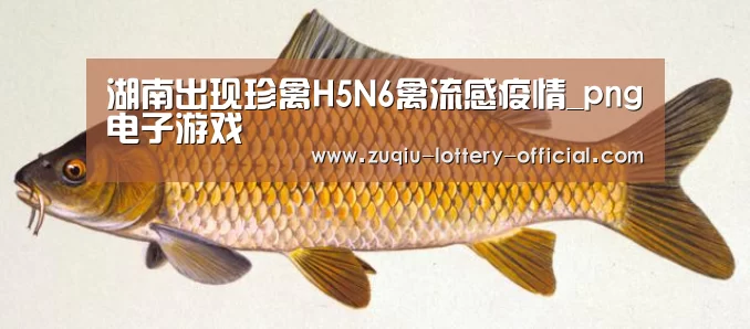 湖南出现珍禽H5N6禽流感疫情_png电子游戏(图4) png电子游戏