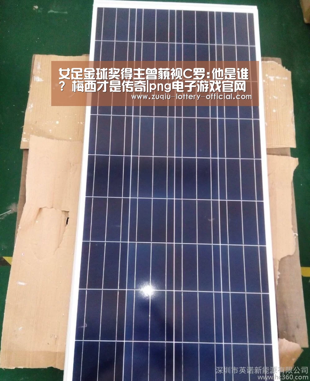 png电子游戏游戏平台