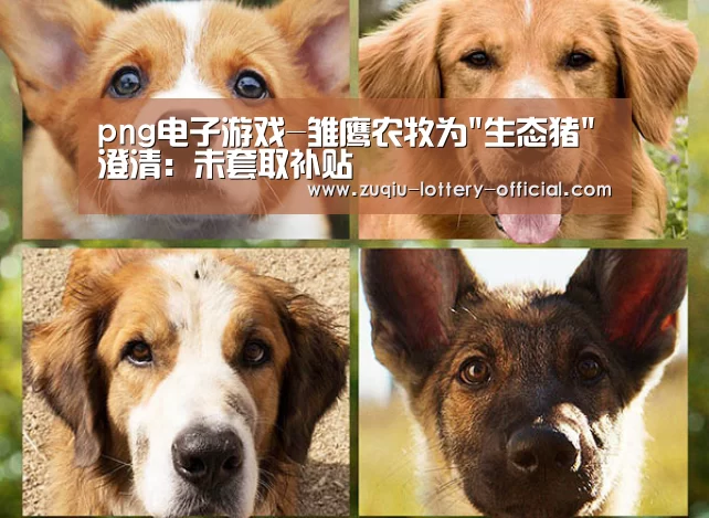 png电子游戏游戏平台