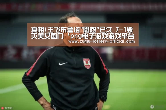 真相!王飞布鲁诺