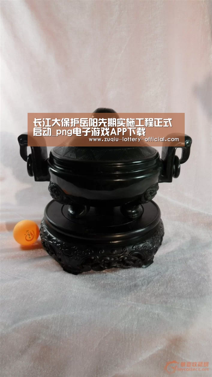 长江大保护岳阳先期实施工程正式启动_png电子游戏APP下载(图2) png电子游戏游戏平台